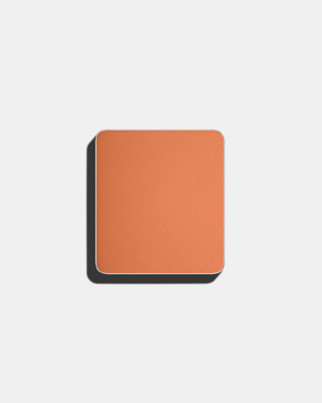 Ombre à paupières FREEDOM SYSTEM MATTE NF