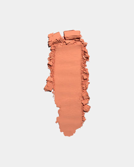Ombre à paupières FREEDOM SYSTEM MATTE NF